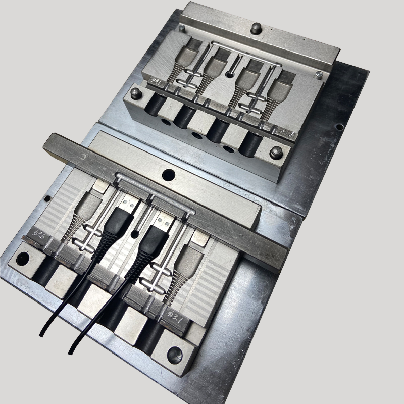 Custom Mold